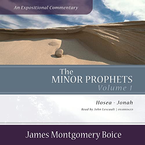 Cover of The Minor Prophets: An Expositional Commentary, Volume 1