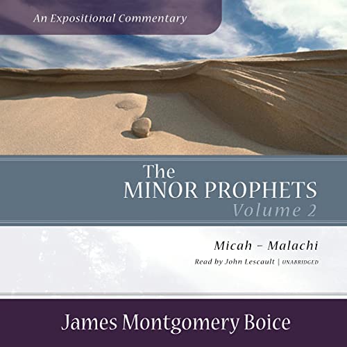 Cover of The Minor Prophets: An Expositional Commentary, Volume 2