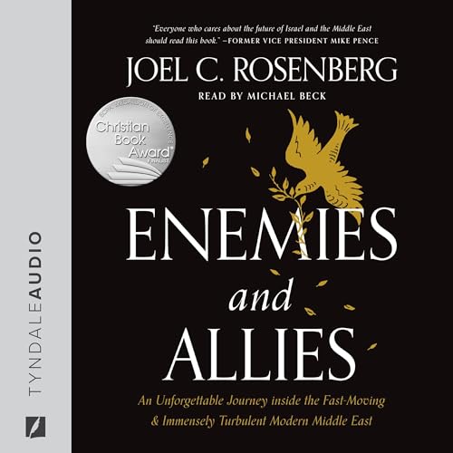 Cover of Enemies and Allies