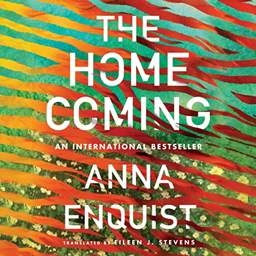 Cover of The Homecoming