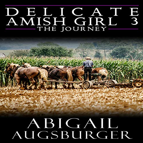 Cover of The Delicate Amish Girl 3