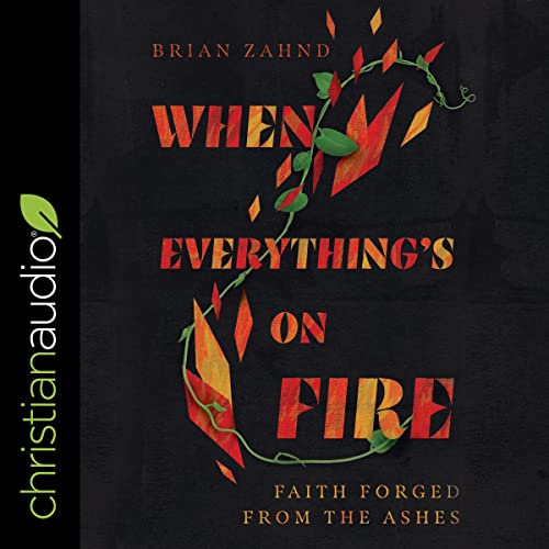 Cover of When Everything's on Fire