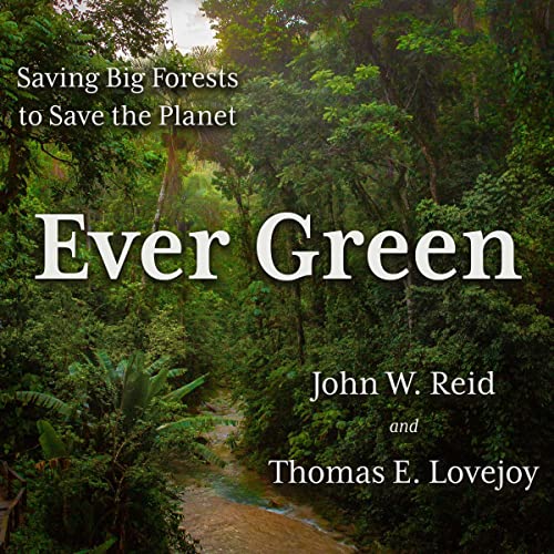 Cover of Ever Green