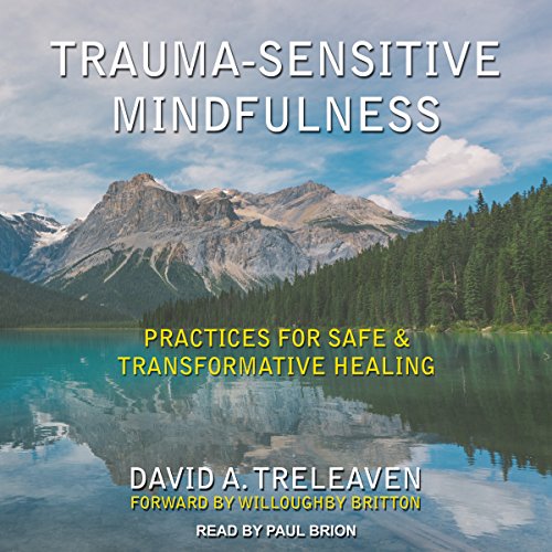 Cover of Trauma-Sensitive Mindfulness