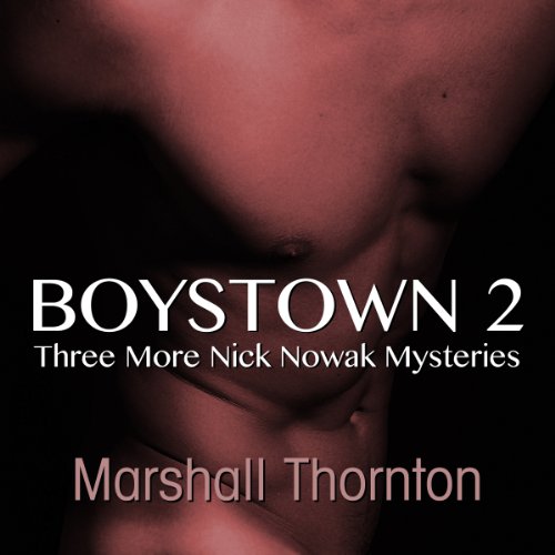 Cover of Boystown 2
