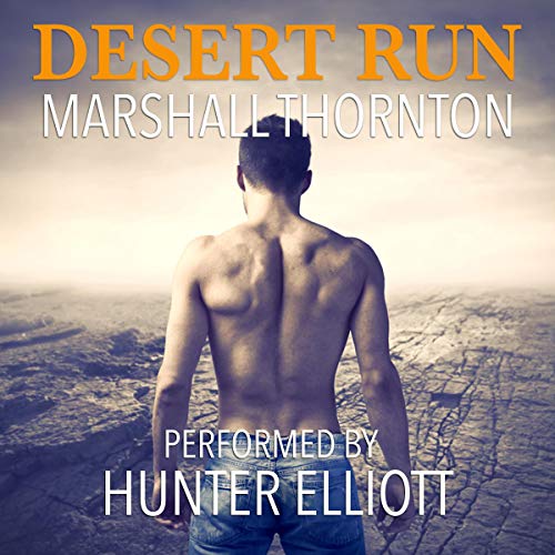 Cover of Desert Run