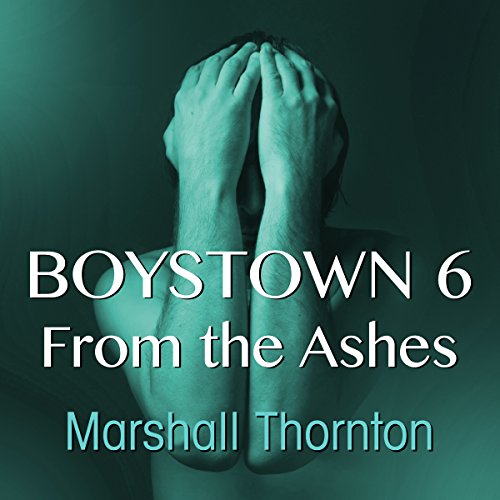 Cover of Boystown 6: From The Ashes