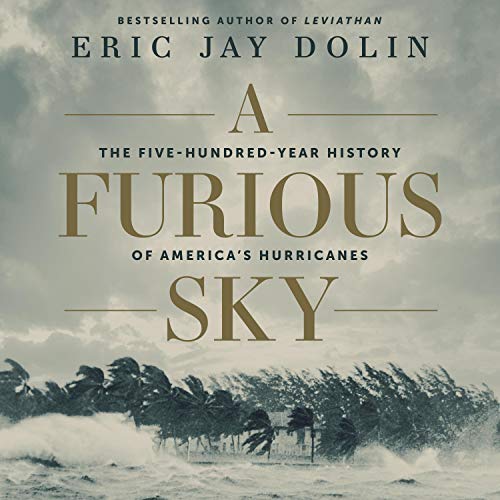 Cover of A Furious Sky