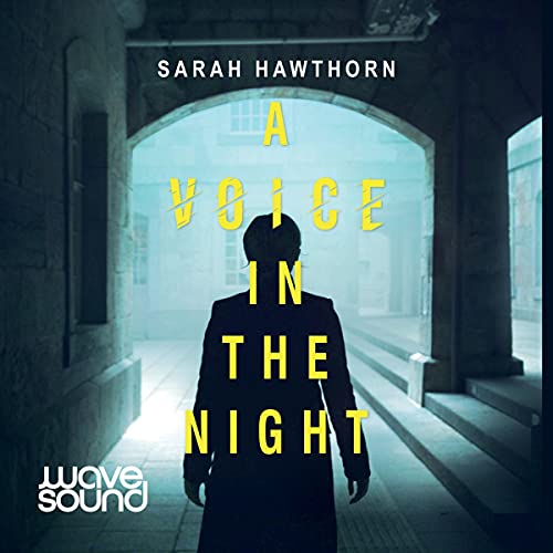 Cover of A Voice in the Night