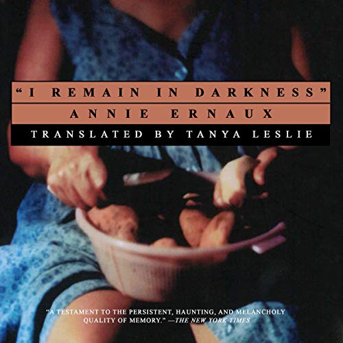 Cover of I Remain in Darkness