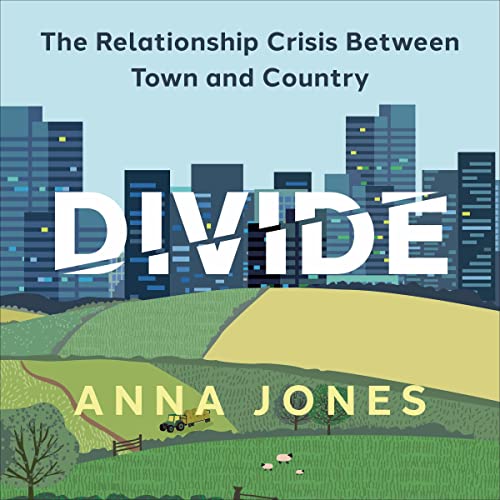 Cover of Divide