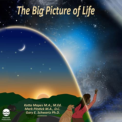Cover of The Big Picture of Life