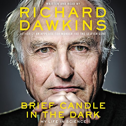 Cover of Brief Candle in the Dark