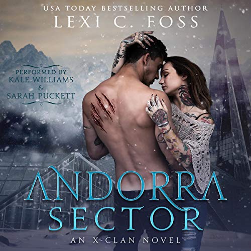 Cover of Andorra Sector
