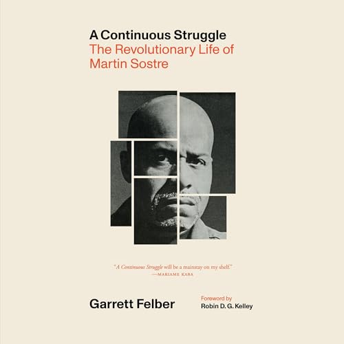 Cover of A Continuous Struggle