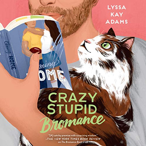 Cover of Crazy Stupid Bromance