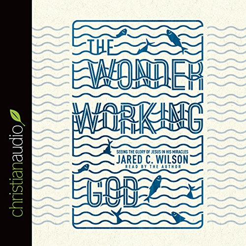 Cover of Wonder-Working God