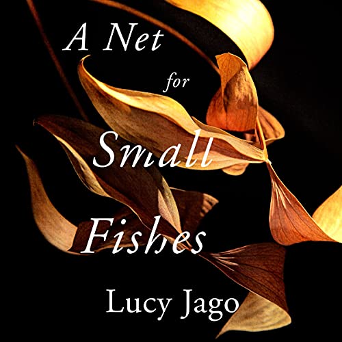 Cover of A Net for Small Fishes
