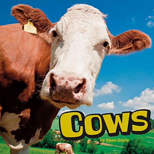Cover of Cows
