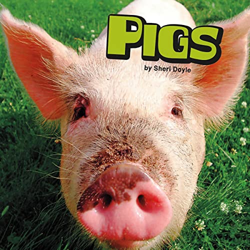 Cover of Pigs