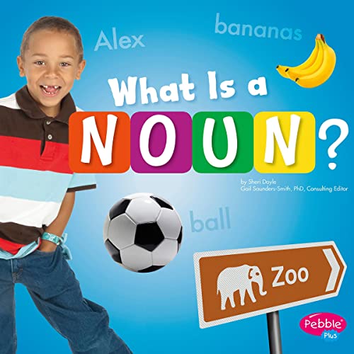 Cover of What Is a Noun?