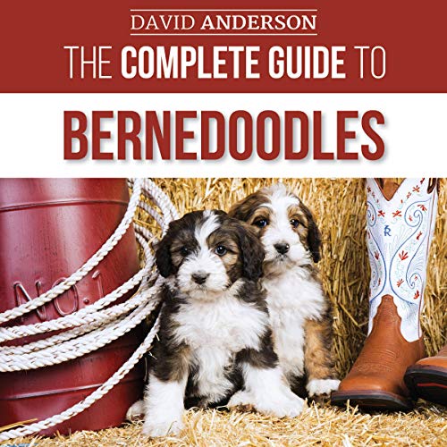 Cover of The Complete Guide to Bernedoodles
