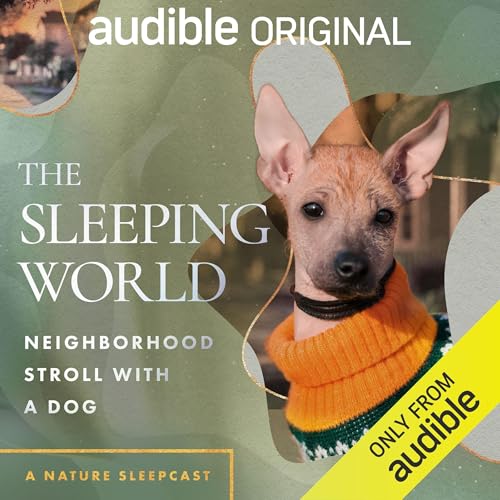 Cover of The Sleeping World: Neighborhood Stroll with a Dog