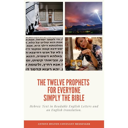 Cover of The Twelve Prophets For Everyone Simply the Bible