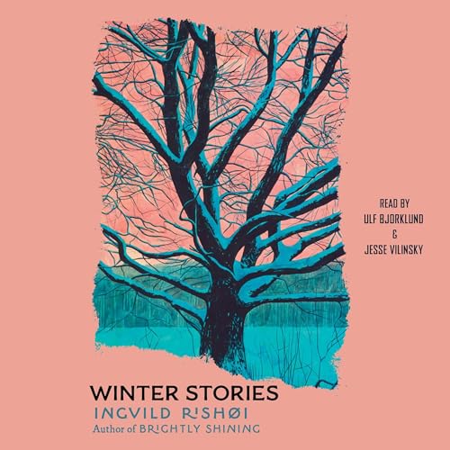 Cover of Winter Stories