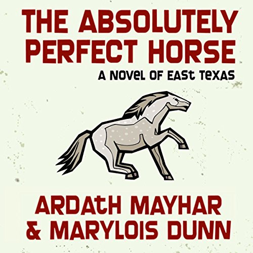 Cover of The Absolutely Perfect Horse