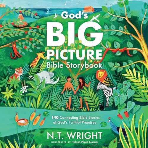 Cover of God's Big Picture Bible Storybook