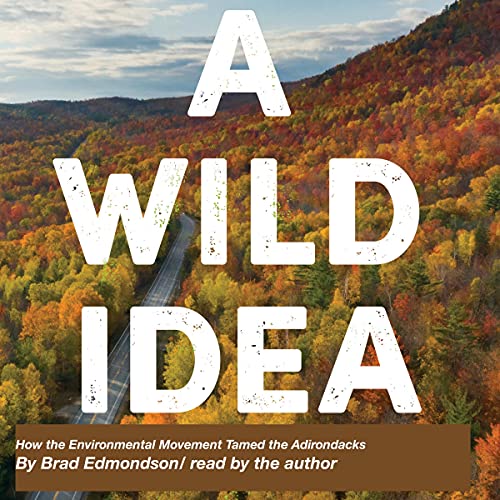 Cover of A Wild Idea