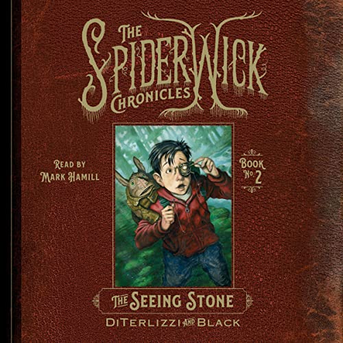 Cover of The Seeing Stone