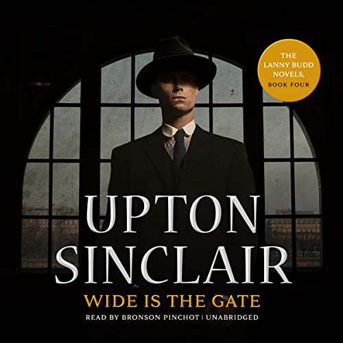 Cover of Wide Is the Gate