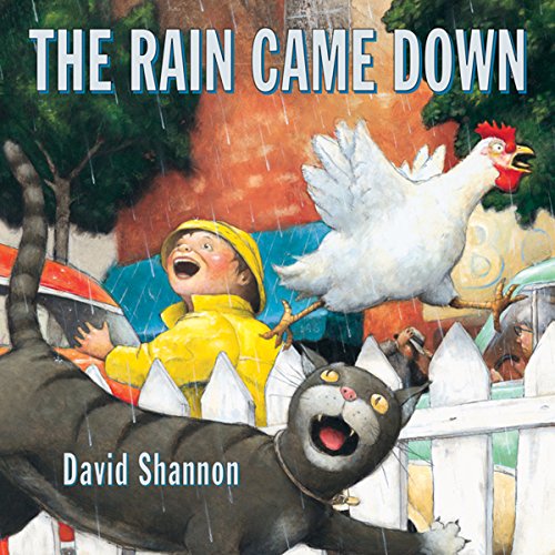 Cover of The Rain Came Down
