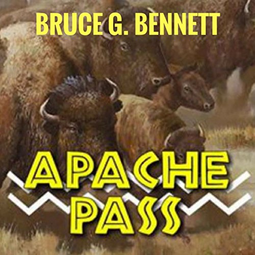 Cover of Apache Pass