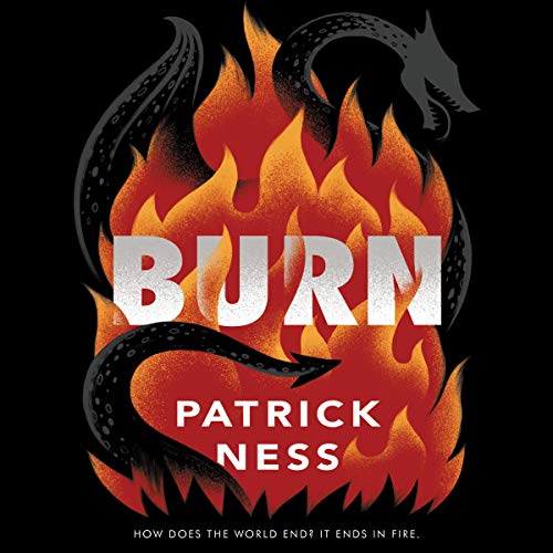 Cover of Burn