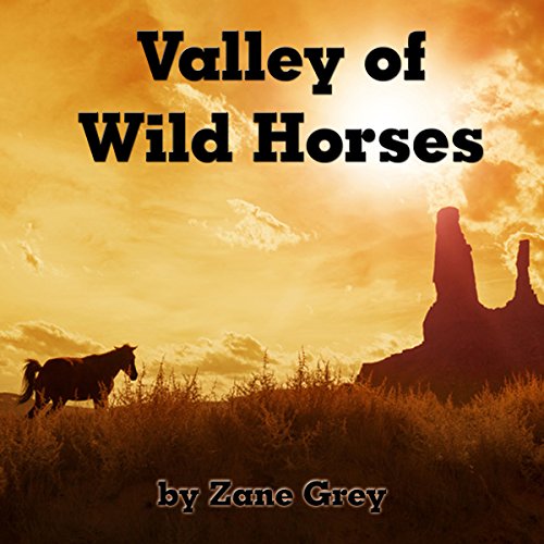 Cover of Valley of Wild Horses
