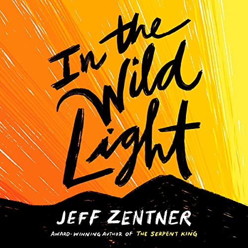 Cover of In the Wild Light