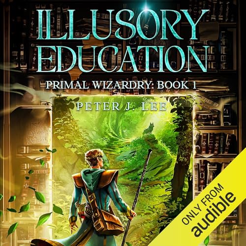 Cover of Illusory Education