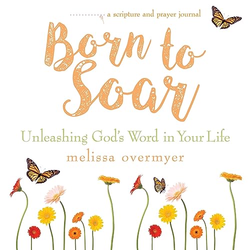Cover of Born to Soar