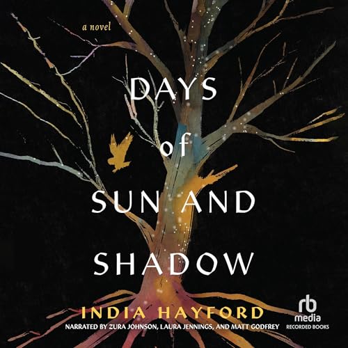 Cover of Days of Sun and Shadow