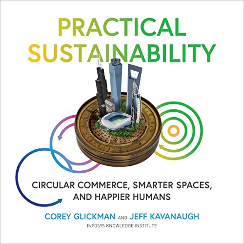 Cover of Practical Sustainability