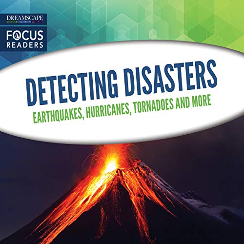Cover of Detecting Disasters