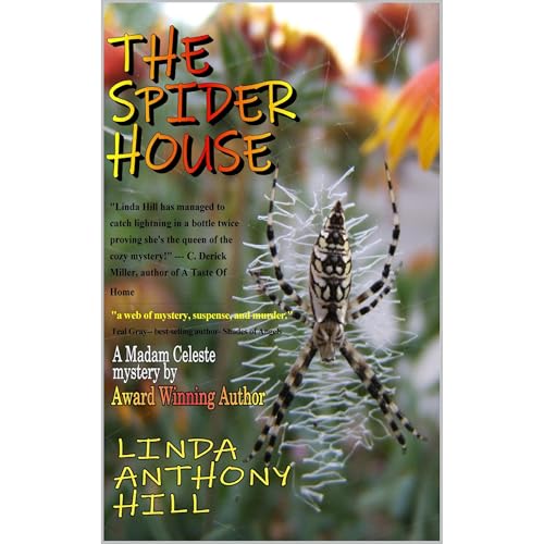 Cover of THE SPIDER HOUSE