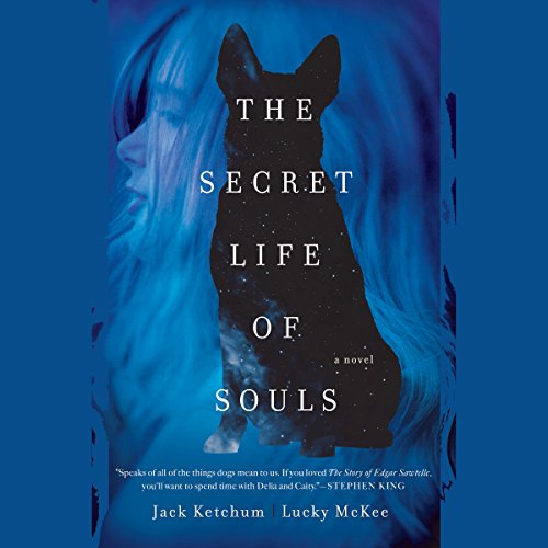 Cover of The Secret Life of Souls