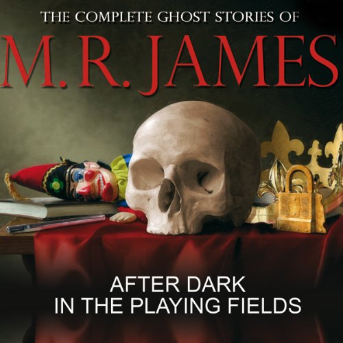 Cover of After Dark in the Playing Fields