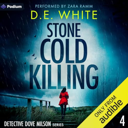 Cover of Stone Cold Killing