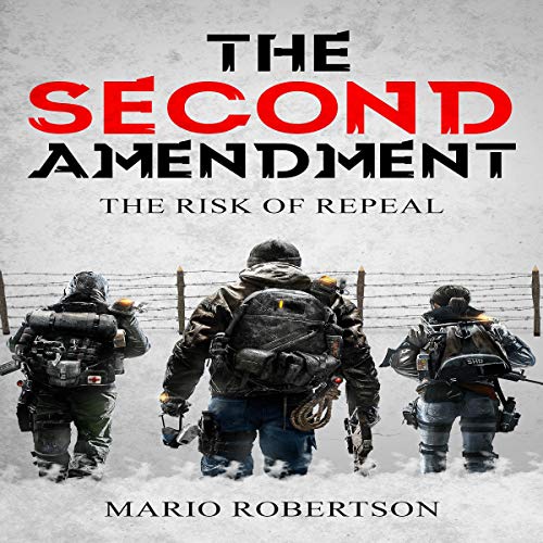 Cover of The Second Ammendment