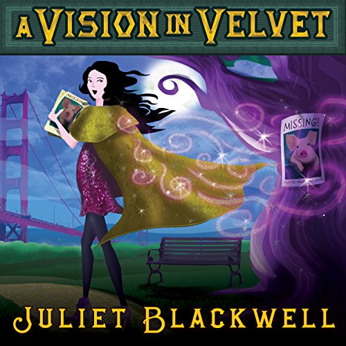 Cover of A Vision in Velvet